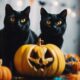 cats and halloween festivities