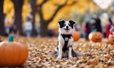 dog friendly halloween events list