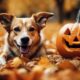 dogs and halloween pumpkins