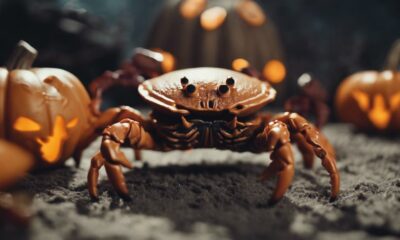 halloween moon crab finances