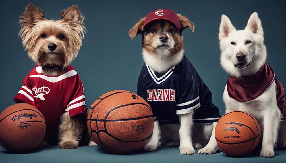 sports themed dog halloween costumes