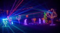 halloween light show controllers