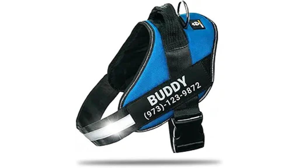 custom name patch harness