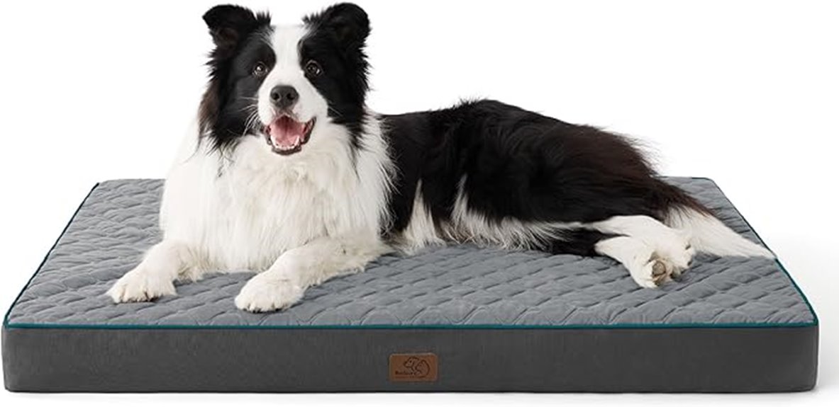 15 Best Orthopedic Pet Mattresses That Will Keep Your Furry Friend Comfortable and Healthy 16 large grey memory foam bed