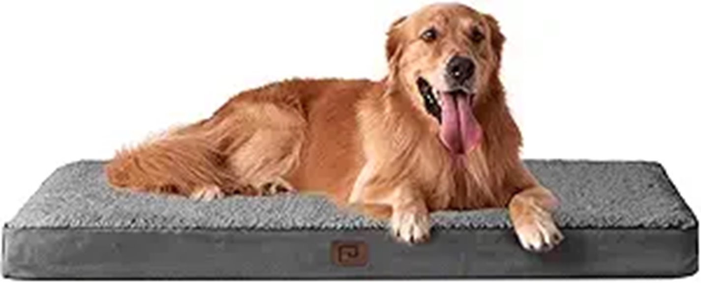 15 Best Orthopedic Pet Mattresses That Will Keep Your Furry Friend Comfortable and Healthy 5 large orthopedic dog bed