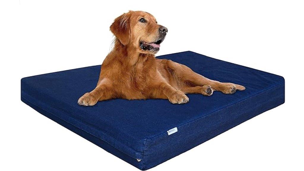 15 Best Orthopedic Pet Mattresses That Will Keep Your Furry Friend Comfortable and Healthy 11 large orthopedic memory foam