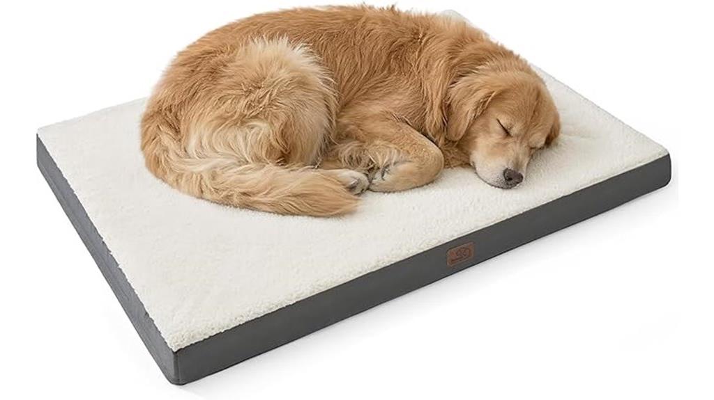 15 Best Orthopedic Pet Mattresses That Will Keep Your Furry Friend Comfortable and Healthy 3 large washable dog bed