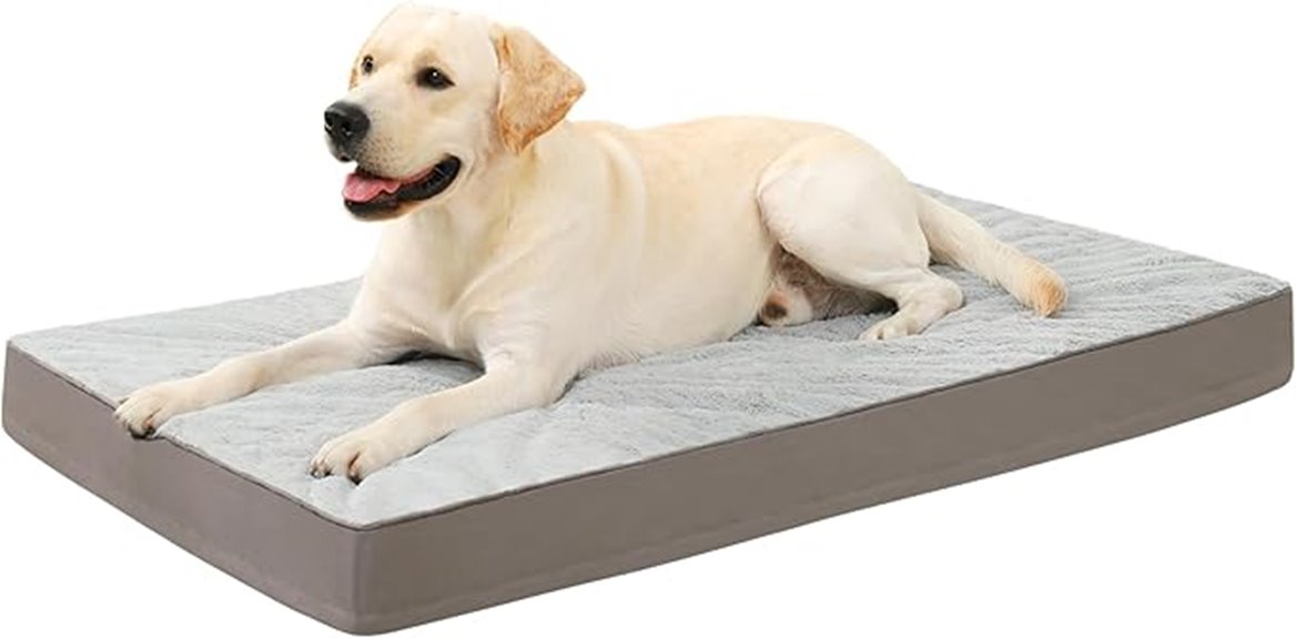 15 Best Orthopedic Pet Mattresses That Will Keep Your Furry Friend Comfortable and Healthy 10 orthopedic waterproof dog bed