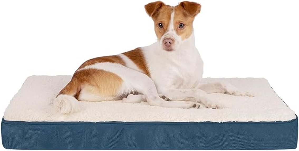 15 Best Orthopedic Pet Mattresses That Will Keep Your Furry Friend Comfortable and Healthy 12 waterproof orthopedic dog mat