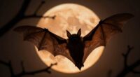 bats symbolize halloween folklore