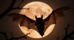 bats symbolize halloween folklore