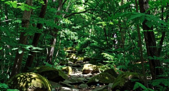 color influences scene mood