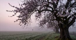 spring s unsettling rebirth