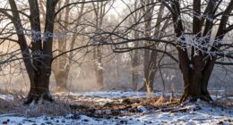 winter ends early folklore