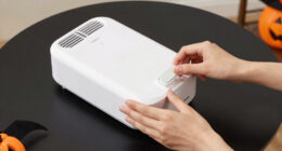 10 Best Dehumidifier for Halloween Prop Storage in 2026