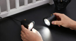 11 Best Battery Powered Uplights for Halloween in 2026