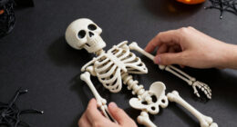 11 Best Best Animated Halloween Skeleton Prop in 2026