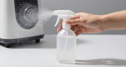 13 Best Best Fog Machine Cleaner Solution in 2026
