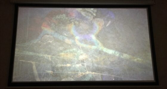 adjust projector settings properly