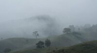 troubleshooting low fog failures