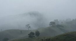 troubleshooting low fog failures
