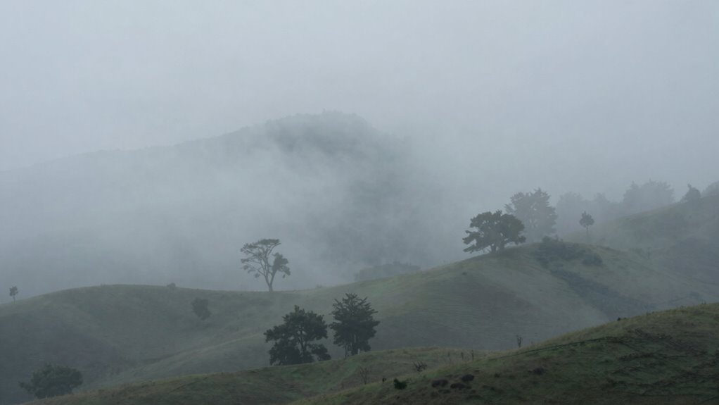 troubleshooting low fog failures