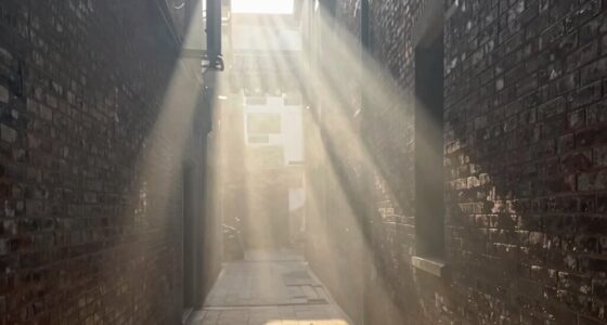 using haze for light beams
