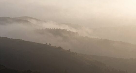 weather conditions affecting visibility