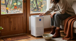 This Clever, Budget-friendly Dehumidifier Tackles 3 Of Autumn's Biggest Household Problems In One