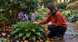 Toad Lilies Are The Shade-Loving Perennials Your Fall Garden Needs